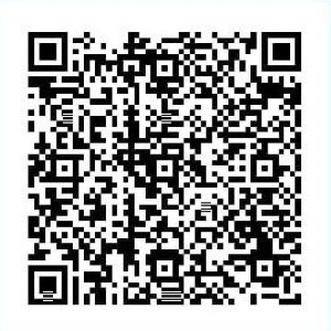 QR Code PIX